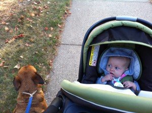 Ella Mae week 12e